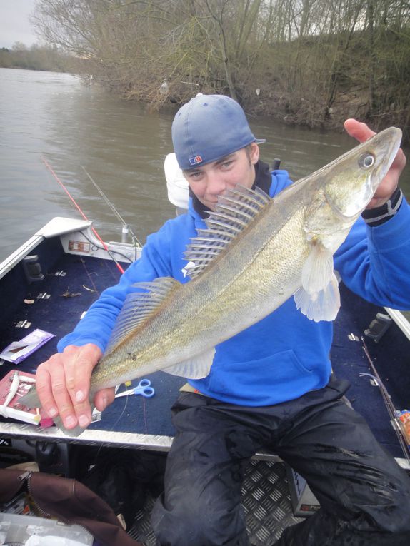 pêche en basse seine aux leurres souples en verticale et en linéaire sur une seule session avec mon ami charly alias super héros