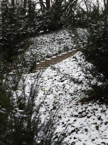 Neige, gel, froid mais soleil d'hiver en Pologne...