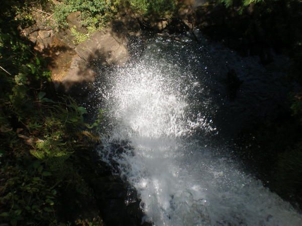 Dans la lumière d'une resplendissante journée d'été, les chutes d'Iguazu du côté argentin : des centaines de points de vue, dans un crescendo de beauté qui atteint son apogée à la "Garganta del Diablo" ("Gorge du Diable"), où arc-en-ciel et