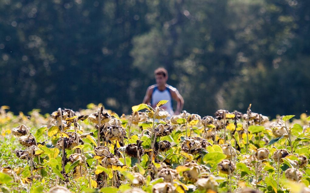 Trail Puymiclan le 30 juillet 2011