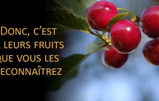 Evangile du Mercredi 28 Juin « C’est à leurs fruits que vous les reconnaîtrez » (Mt 7, 15-20)