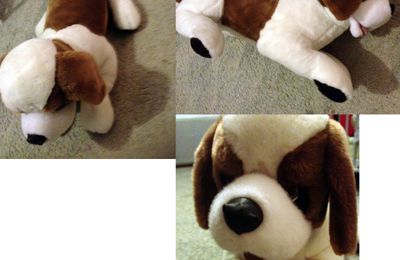 Peluche Saint-Bernard