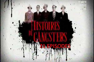 Histoires de gangsters (21 épisodes)