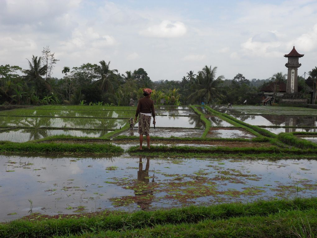 Bali en image