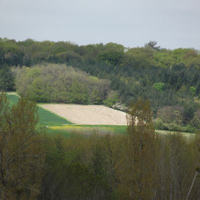 Le mystère de la nature