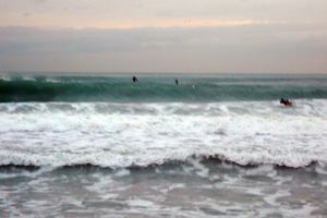 21 nov 2011 / PHOTO : les surfers