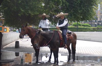 Mexico City D.F.