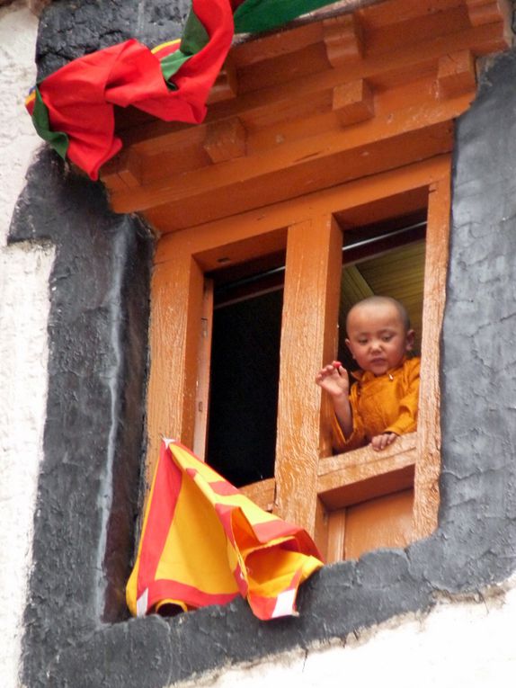 Album - Ladakh-2010