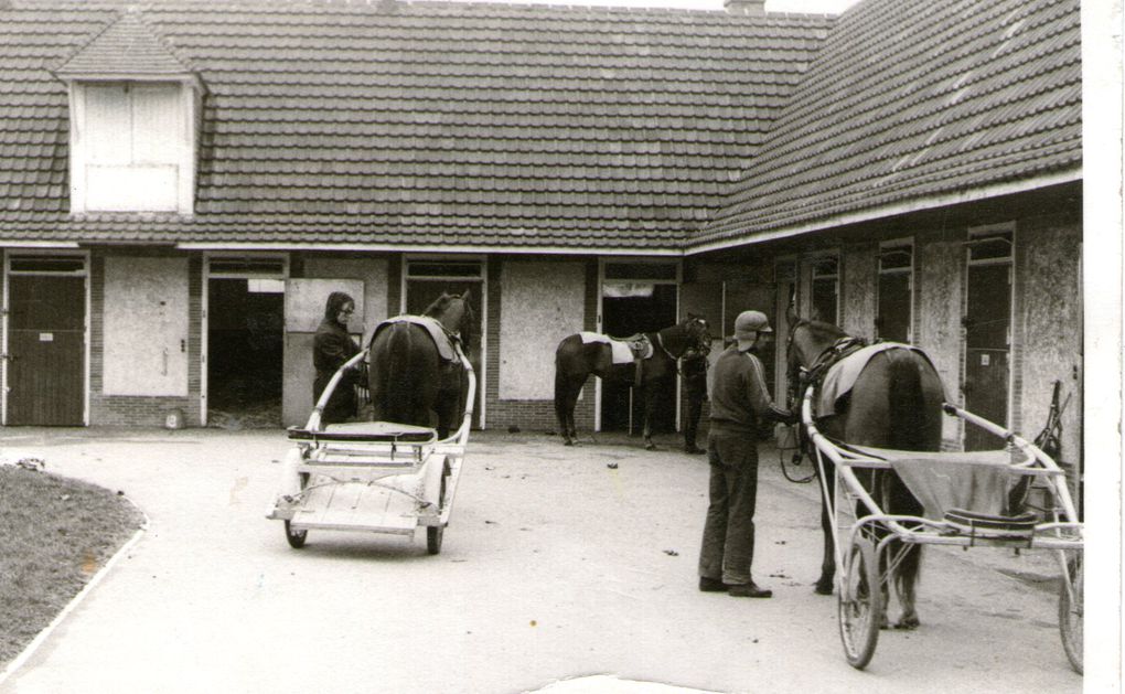 #Ecole d’équitation de Poigny La Forêt