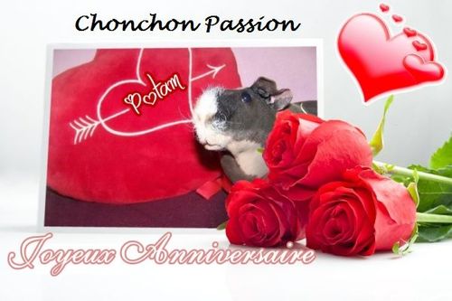Les Anniversaires Chonchon Passion