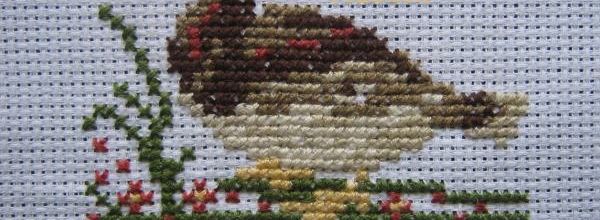 mes débuts en broderie