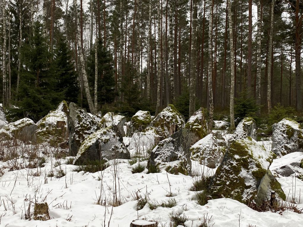 FI23 INF The Harparskog line, the bunker Irma and the tank obstacle