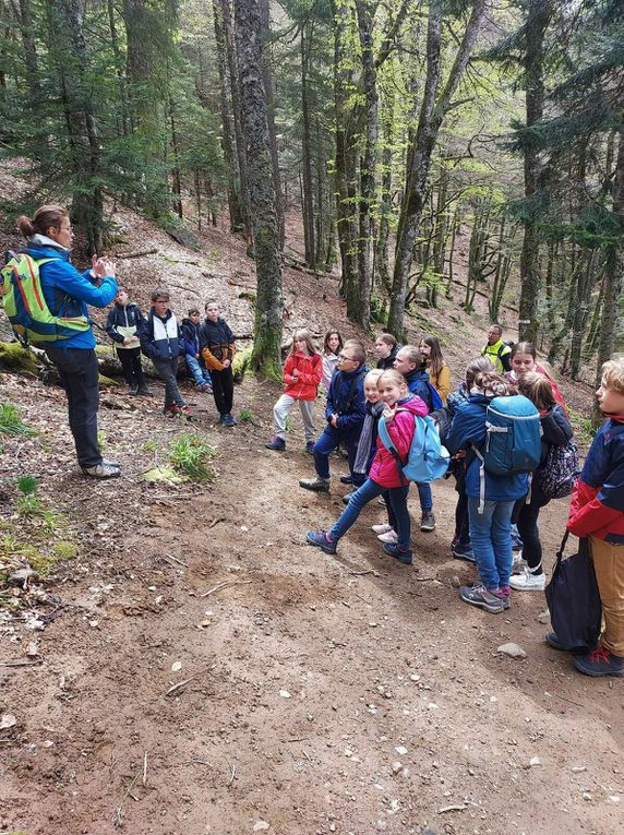 Classe de découvertes : JOUR 4 : en route pour le Château de Murol et lac Pavin