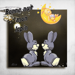 Bonne nuit mon lapin - Couple - Amour - Lune - Gif animé - Gratuit