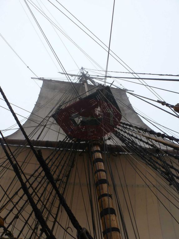 Voici les dix jours durant lesquels nous avons navigué vers Rouen et son Armada. Faisant route plus vite que prévu, nous passerons une demi journée devant l'Ile de Wight et une autre à l'ancre, à l'entrée de la Seine.