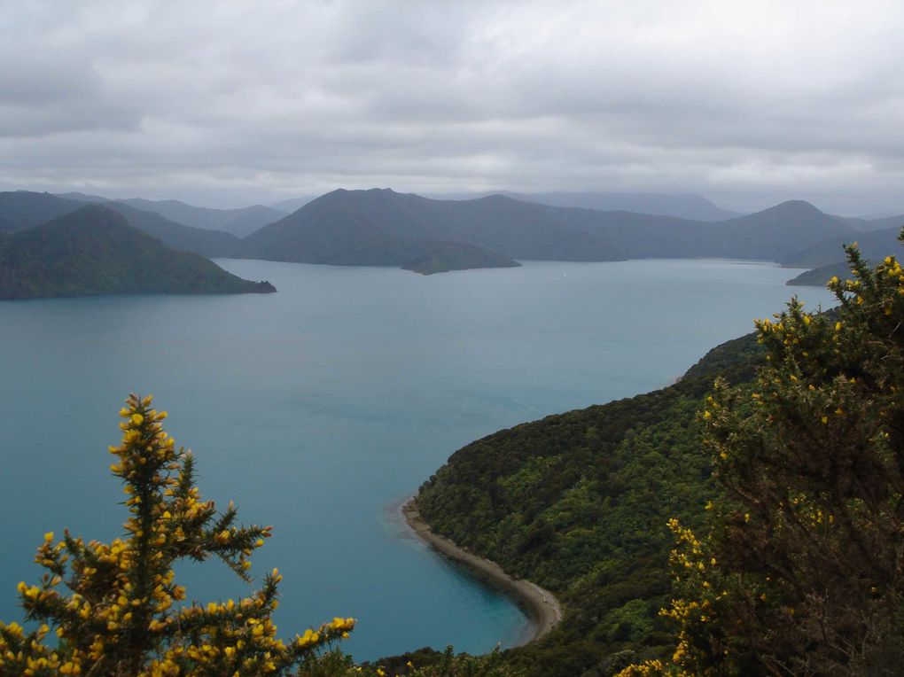 Album - Top South Island