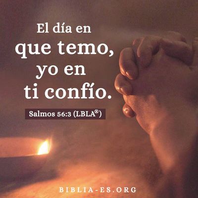 Evangelio de hoy martes 21 de agosto de 2018 | Salmos 56:3