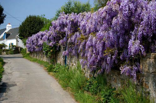 De toutes les couleurs