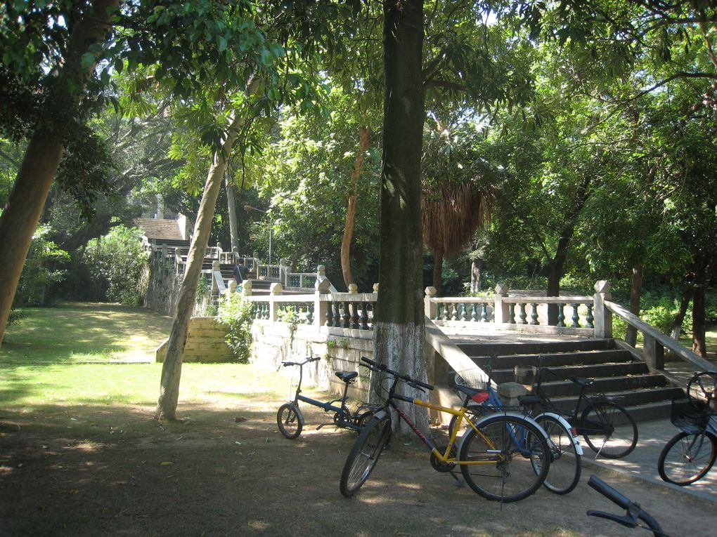 Xiamen University (Xiamen Daxue 厦门大学 ou Xia Da pour les locaux) est réputée pour avoir le plus beau campus universitaire de toute la Chine. C'est sûr que même à côté de Lille 1 il n'y a pas photo. Enfin si justement, plein de photos po