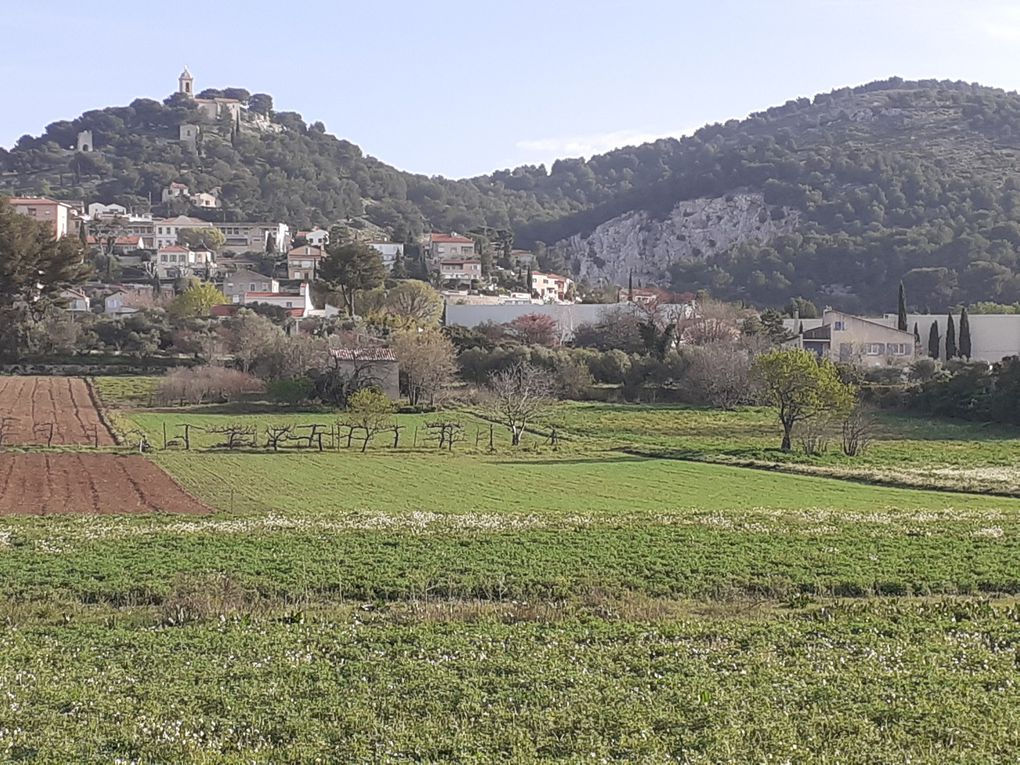 À fleur de pots