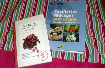 nouveaux livres