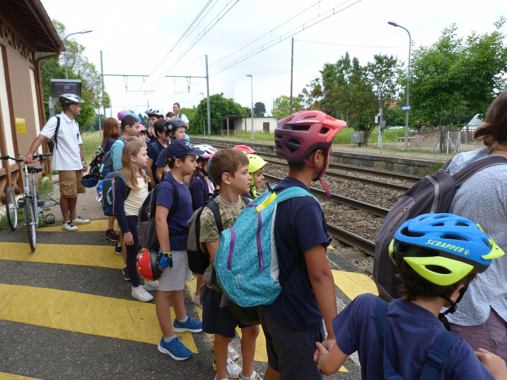 9h03: Nous arrivons à la gare de Lamagistère où nous enfourchons nos vélos transportés dans une grande remorque depuis Agen par Ghyslain. 