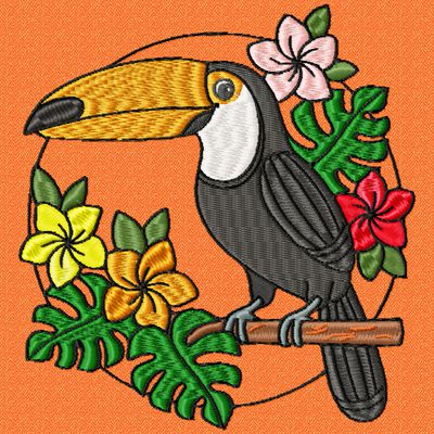 toucan