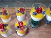 3 - Verser le coulis de mangue sur la panna cotta dans toutes les verrines. Répartir quelques myrtilles et petites grappes de groseilles dans chaque verrine et placer au frais. Sortir du réfrigérateur au moment de servir et saupoudrer de noix de coco râpée. Déguster bien frais.