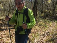 Agréable descente à travers bois.