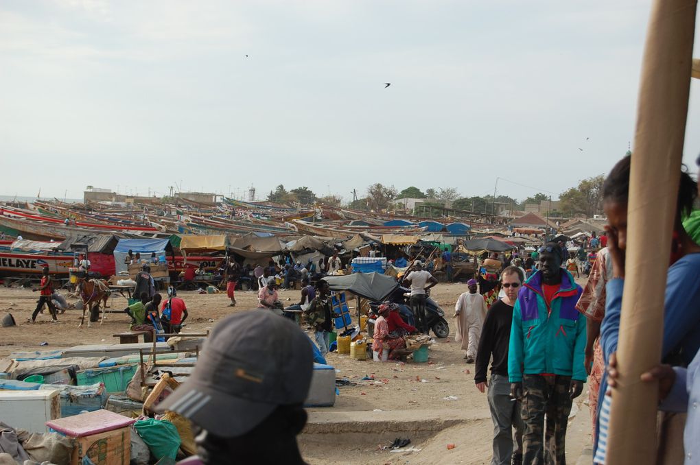 L'album de notre voyage au Sénégal en janvier 2014, le premier mais nous espérons qu'il y en aura d'autres tant ce pays est attachant.