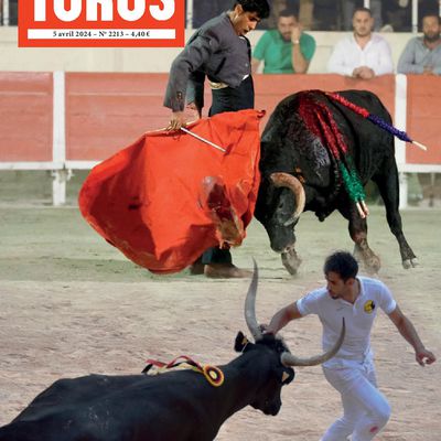 TOROS