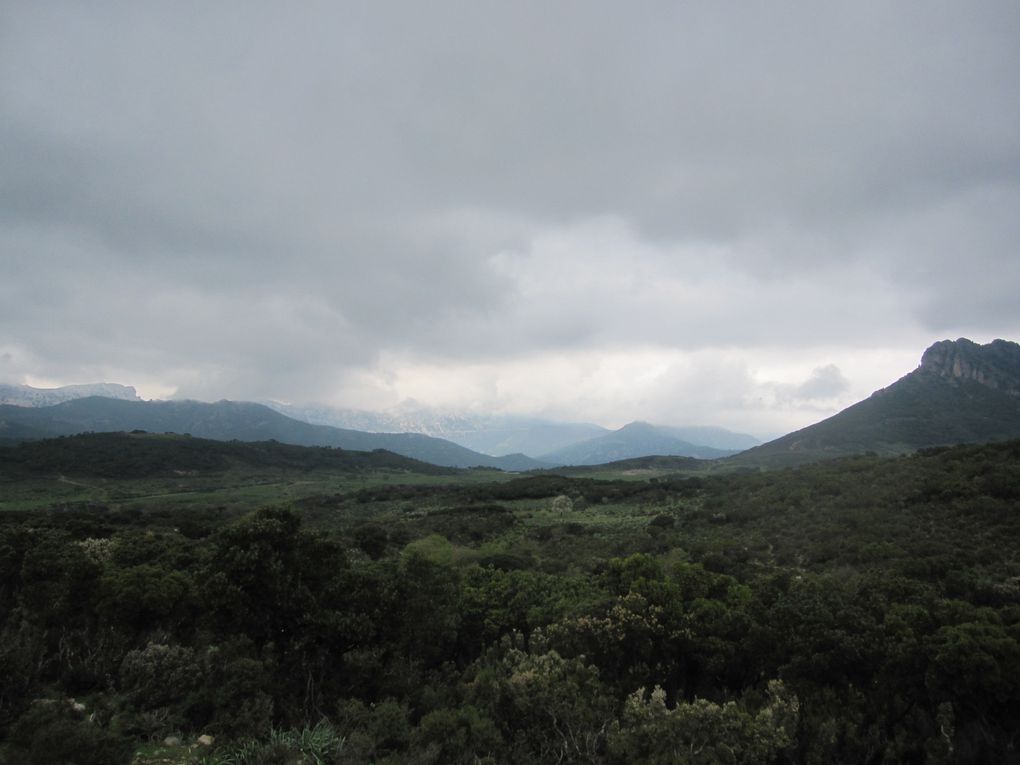 de Dorgali à Cagliari