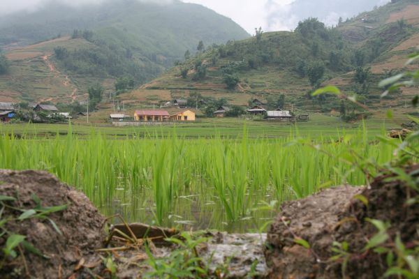 Album - Vietnam-2