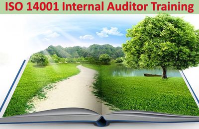 ISO 14001 Training Can Increase The Environmental Performance Of An Organization!