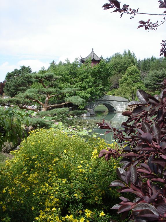 Album - jardin-botanique-et-biodome