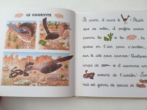 je lis avec les animaux du désert  apprentissage de la lecture éditions Lito, sur charlotteblablablog