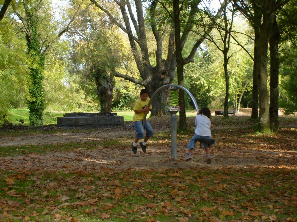 Album - Au parc de l'ile de Nantes