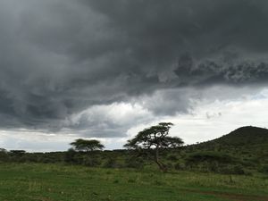 La météo orageuse du Serengueti, de jolis paysages bien verts !