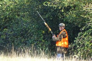 Office français de la biodiversité : un projet qui donne l’avantage aux chasseurs !