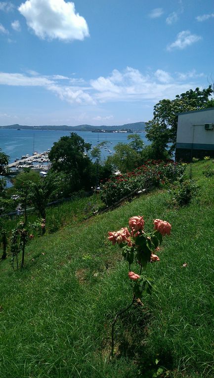 Port de plaisance de Mamoudzou