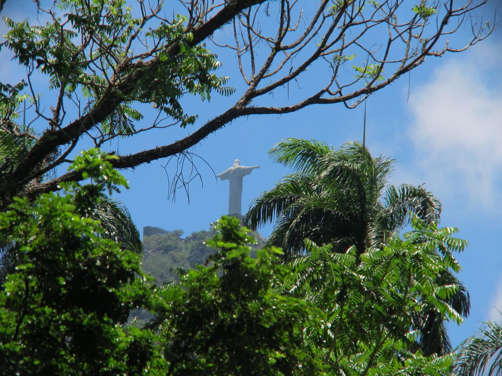 Le Brésil est grand, tout ne rentre pas dans un seul album!! Ici vous trouverez la fin de notre passage à Rio, puis les photos du Pantanal