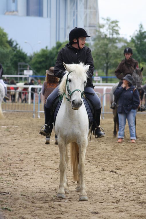 Voici un exemple d'équifun que nous mettons en place durant l'année scolaire. Celui de Cordemais se déroule pendant les finales départementales d'équitation de Saut d'obstacle, de Pony-games, etc.