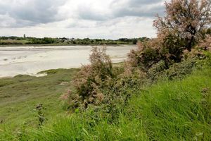 L'estuaire du Frémur à marée basse