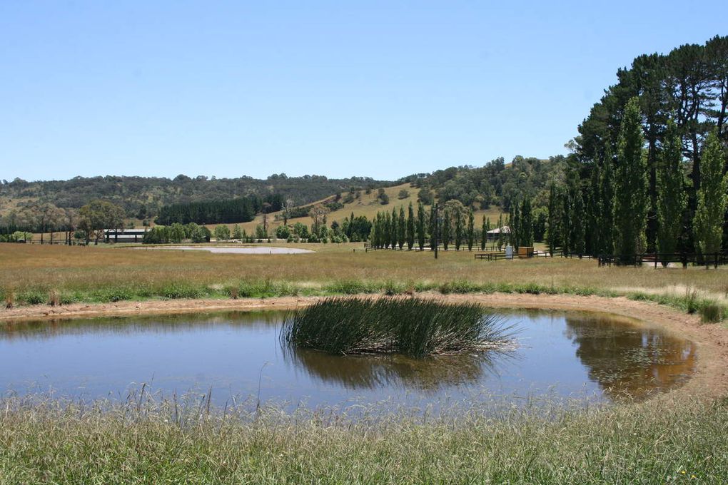 Berrima