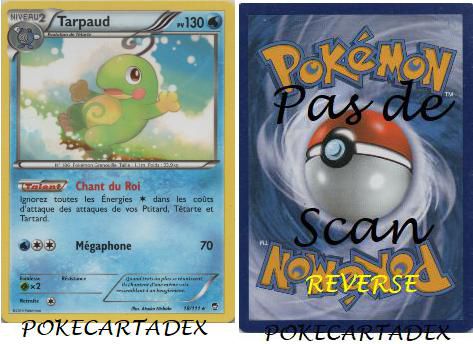 SERIE/XY/POINGS FURIEUX/11-20/18/111