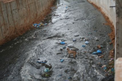 La LADDH CHLEF : Les déchets hospitaliers, un danger pour les citoyens