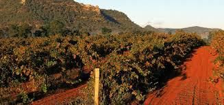 #Red Blend Wine Producers New South Wales Vineyards Australia