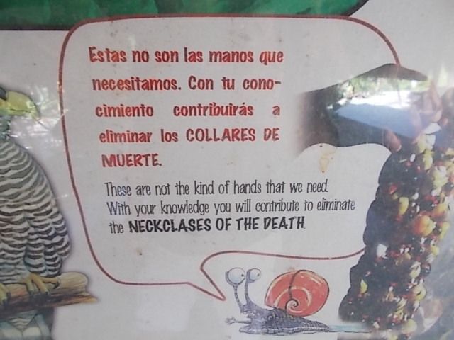 plage, poisson au repas, le Yunque, fete poour la naissance 164 ans de Jose Marti..