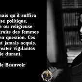 La Reine des femmes : Simone de Beauvoir dite le Castor - Le Démocrate Idéaliste