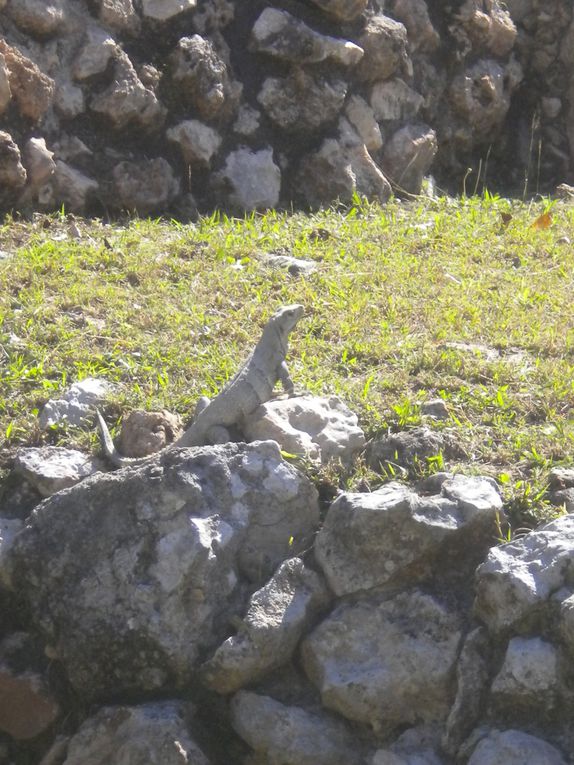 Quintana Roo, Yucatan